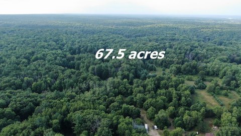 68.8 Acres Hunting and Recreation Land