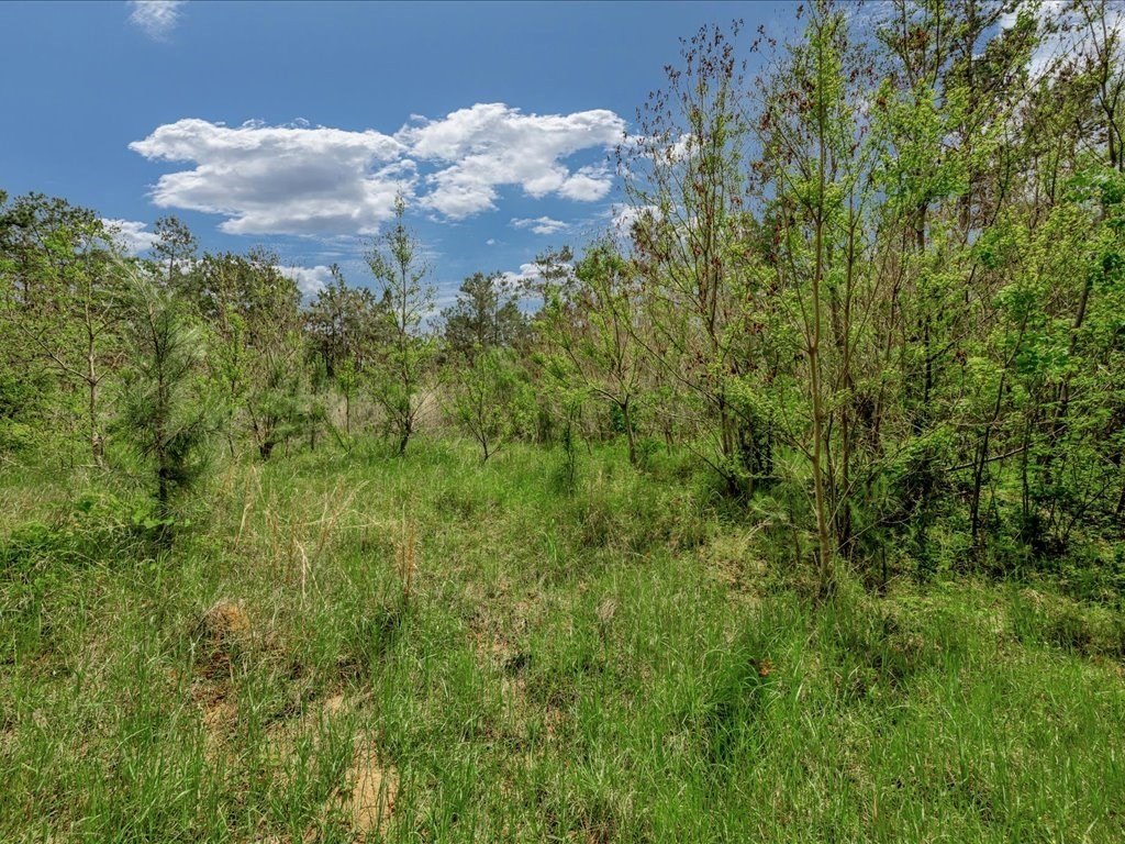 Picture 23