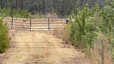 Vacant Land, Prattsville, AR