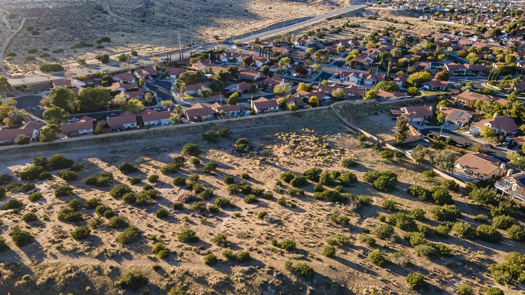 Picture 23
