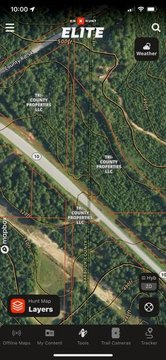 Wooded Acreage on Highway 10