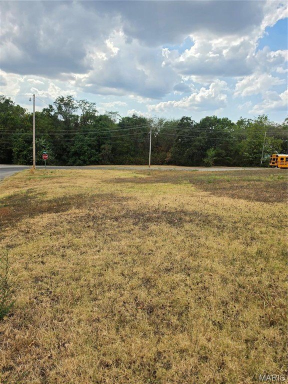 Picture 2