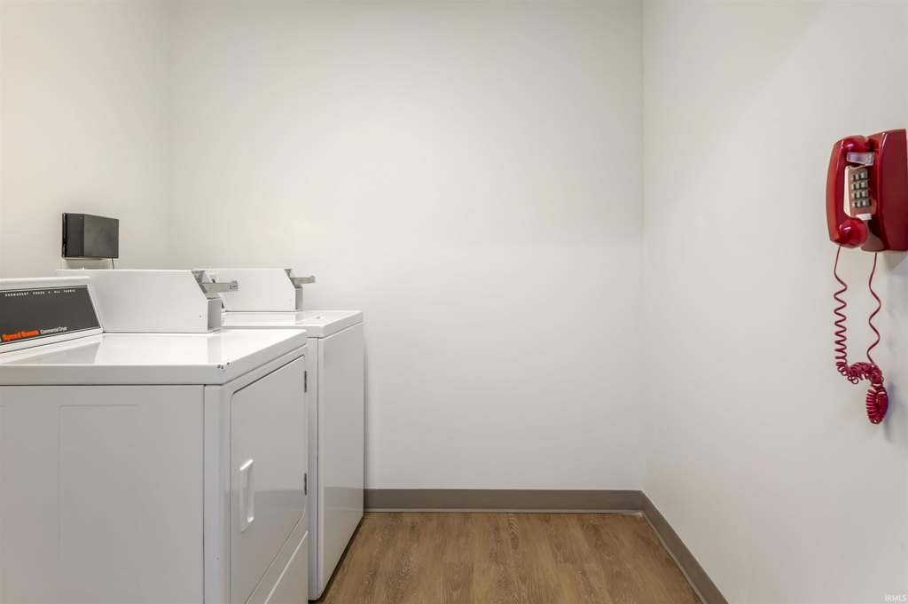 Picture 21