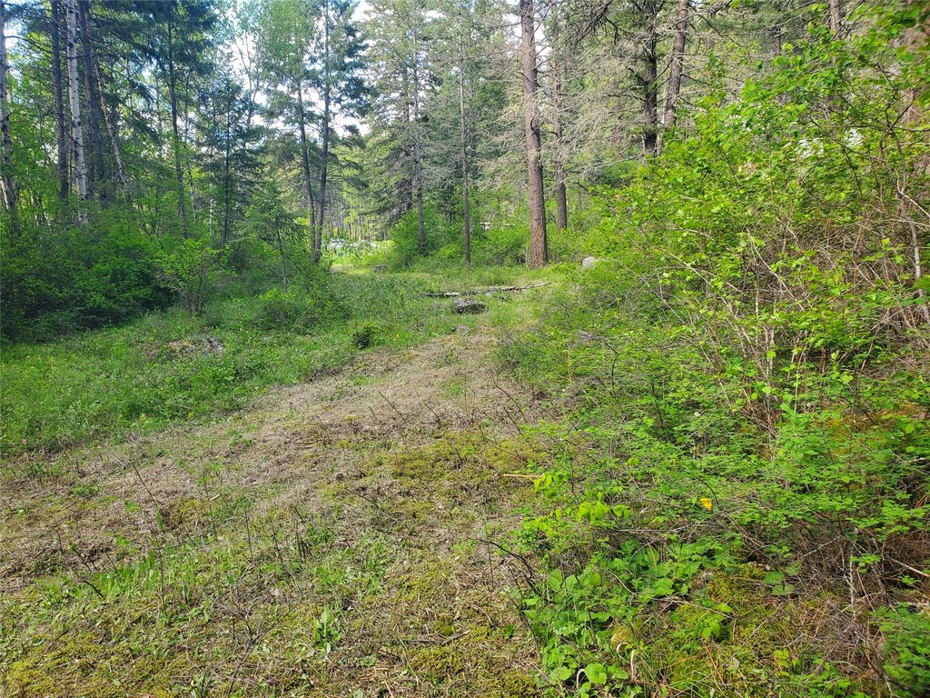 Picture 11