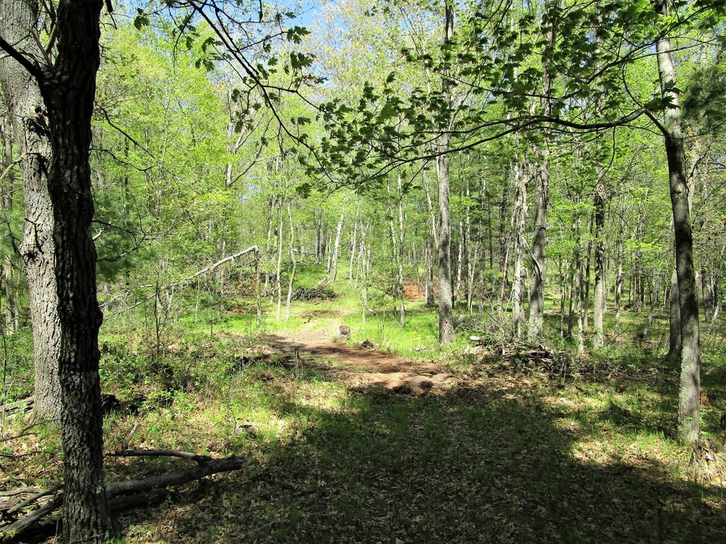 Picture 5