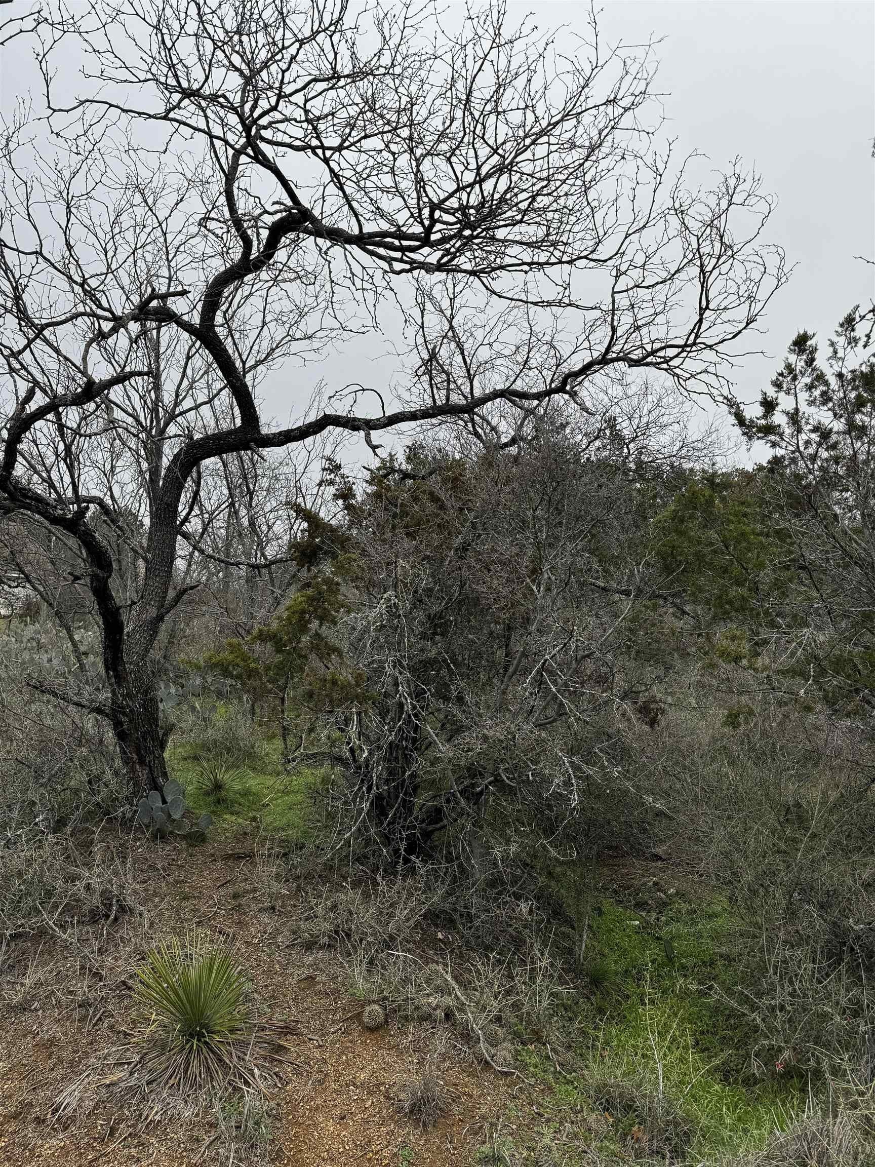 Granite Shoals Land For Sale