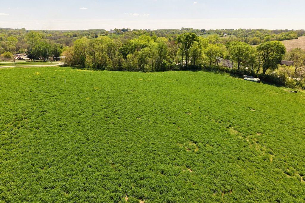 Picture 12