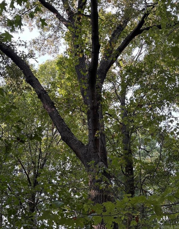 Picture 23