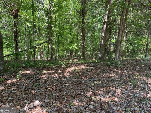 LAND - Cave Spring, GA