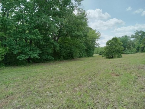 LAND - Mansfield, MO