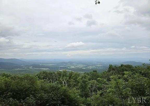 Picture 31