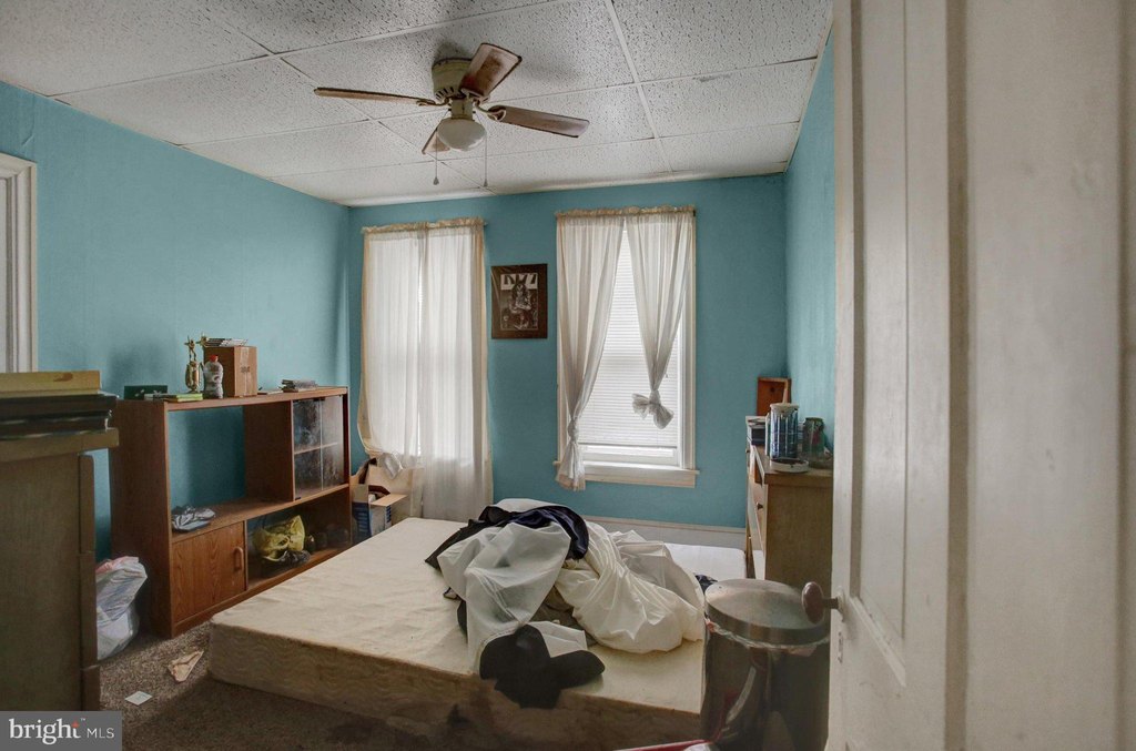 Picture 25
