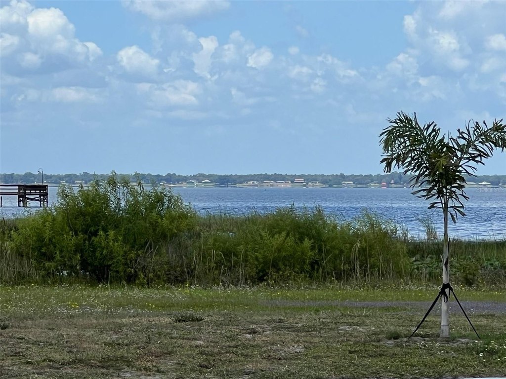 Picture 6