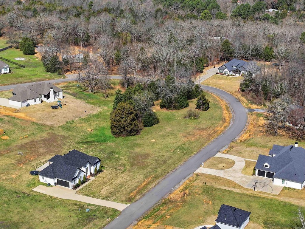 Picture 25