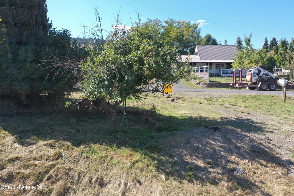 Picture 17