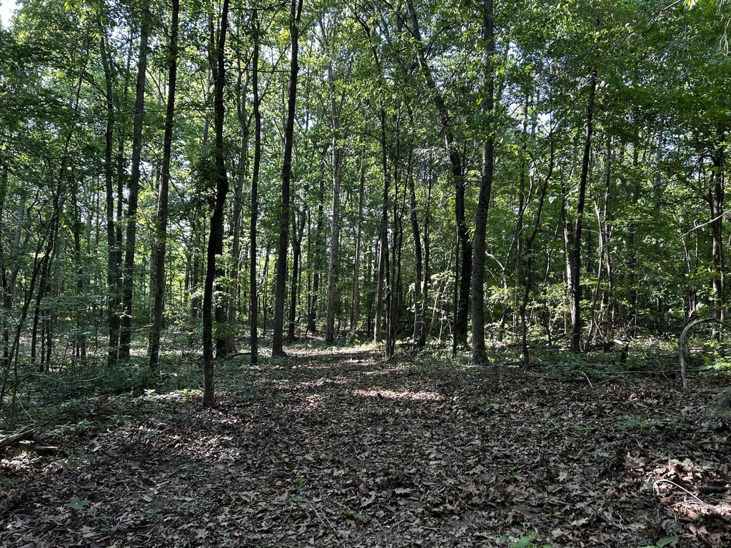 Picture 14