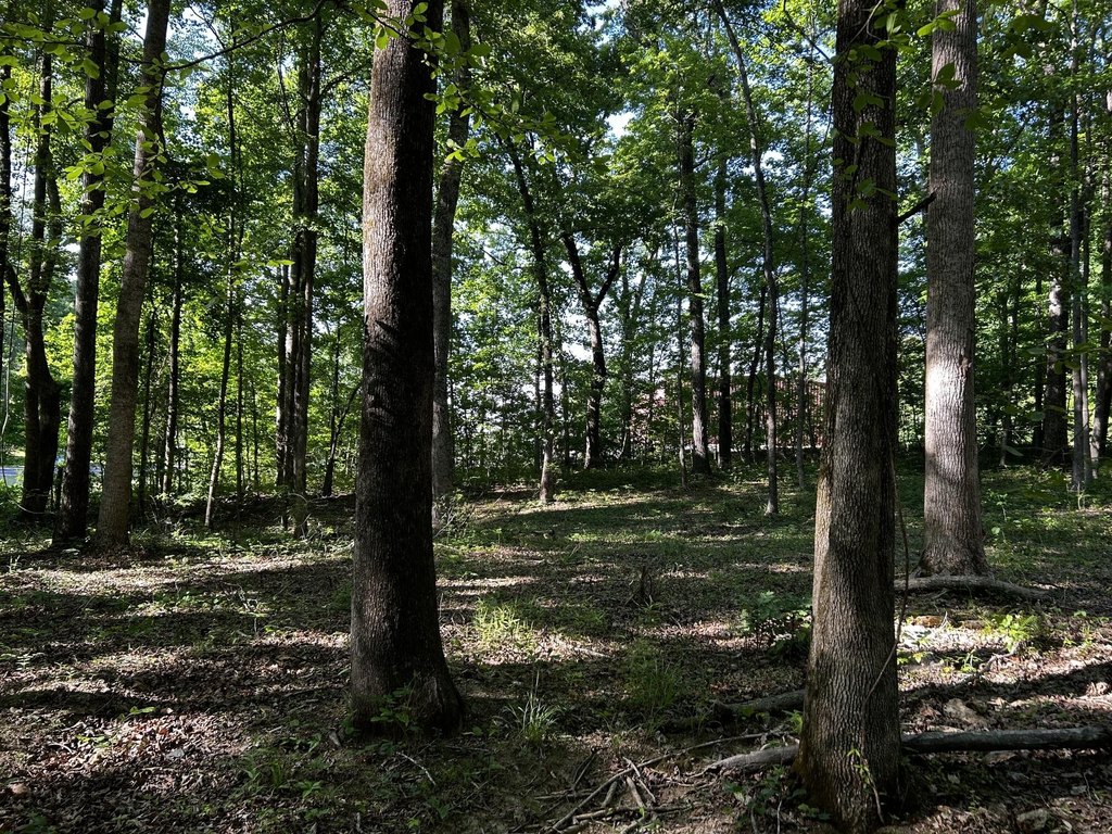 Picture 10