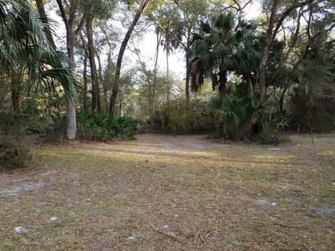 Chiefland Buildable Lot For Sale