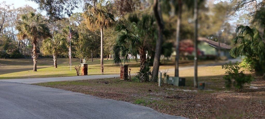 Picture 4