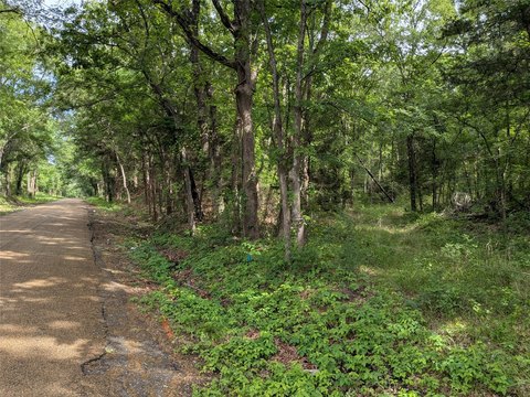 3+ Acre Homesite in Fruitvale