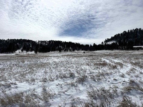 Ranch Tract Farmland and Timber