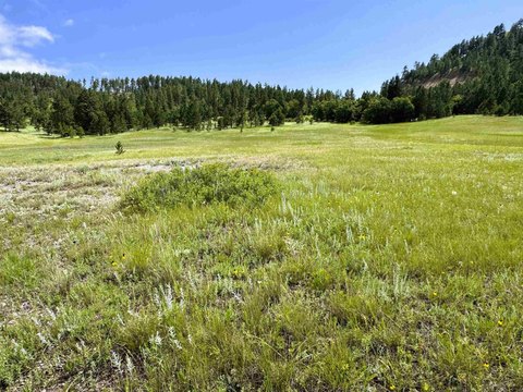 Ranch Tract Farmland and Timber