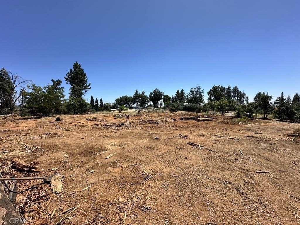 Spacious Paradise Lot For Sale