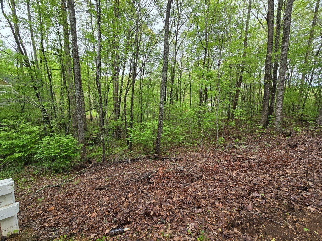 Picture 3