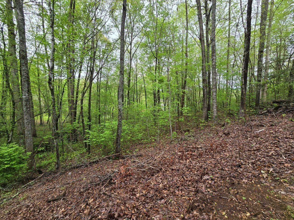 Picture 7