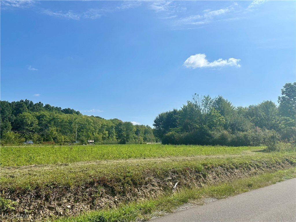 Spacious Land Parcel in Liberty