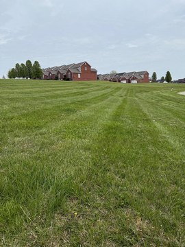 Residential Lots in Saddlebrook Estates