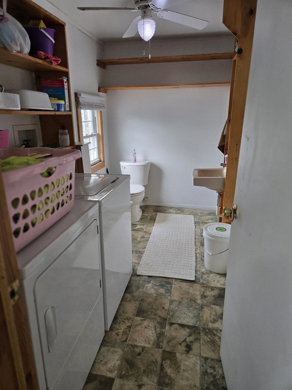 Picture 21