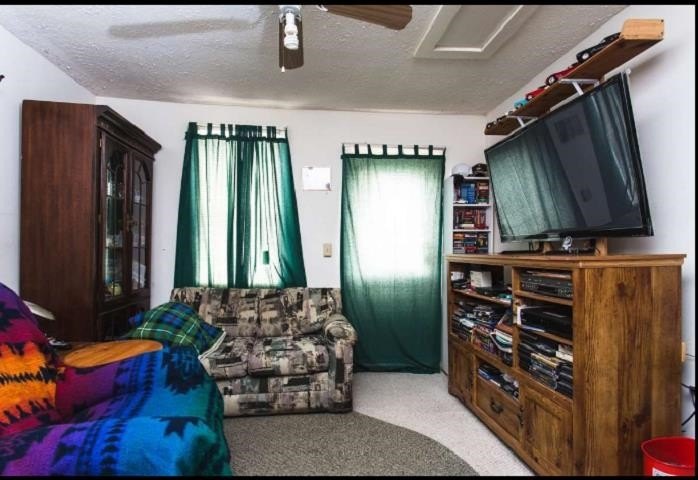 Picture 29