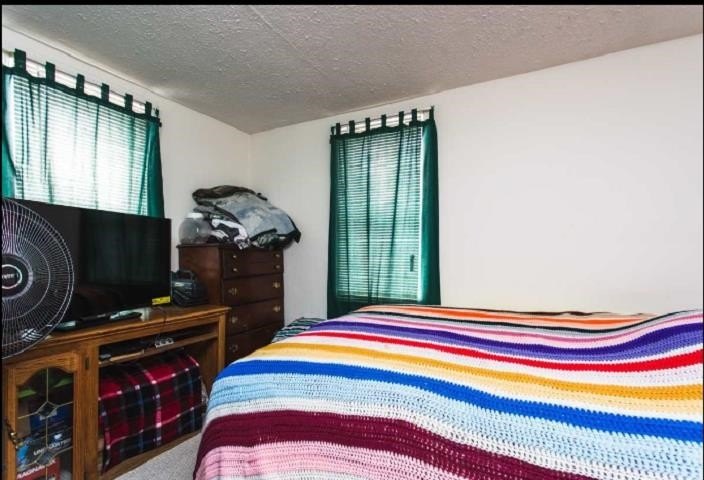Picture 31