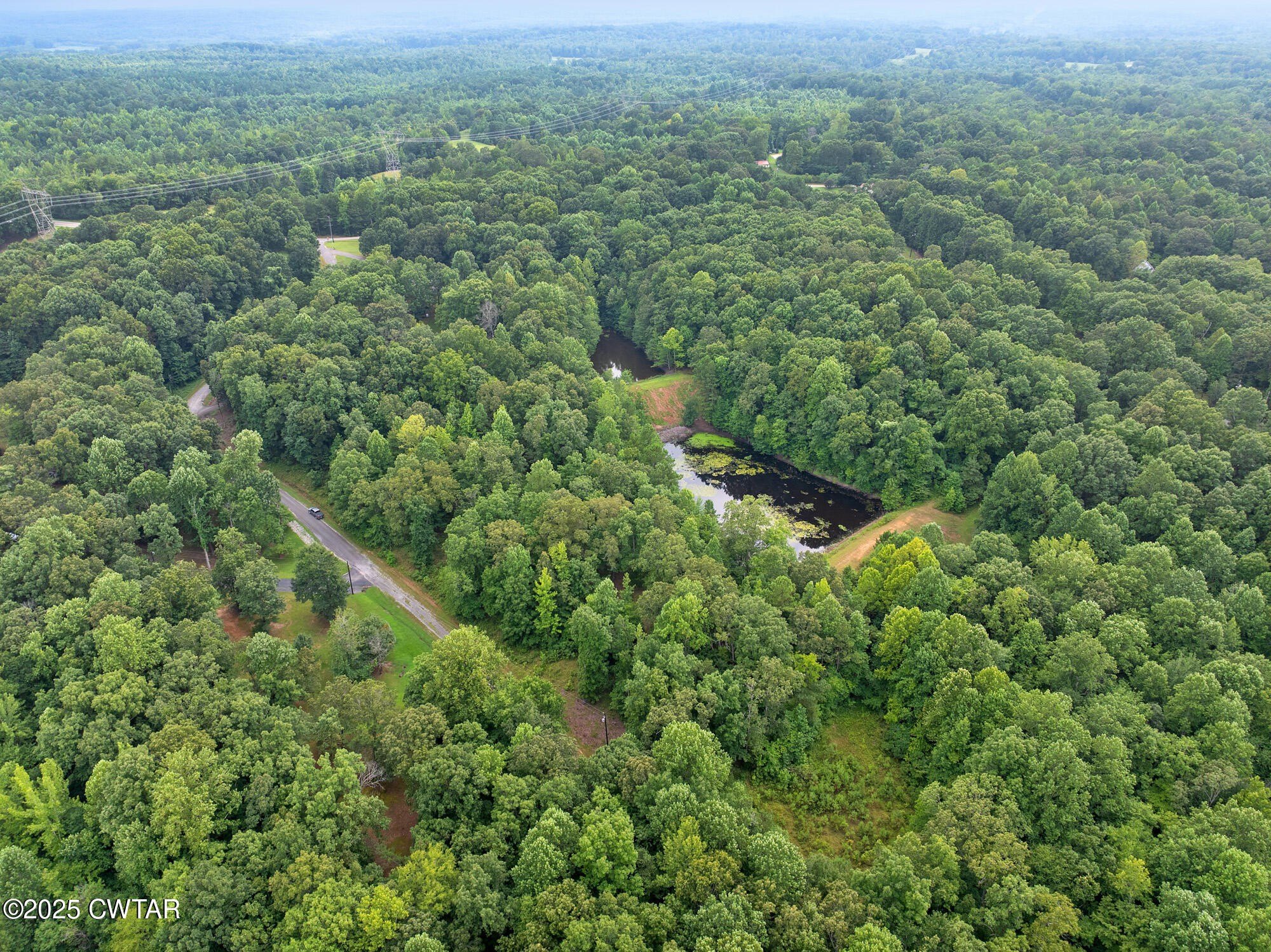 Cedar Grove Wooded Lot