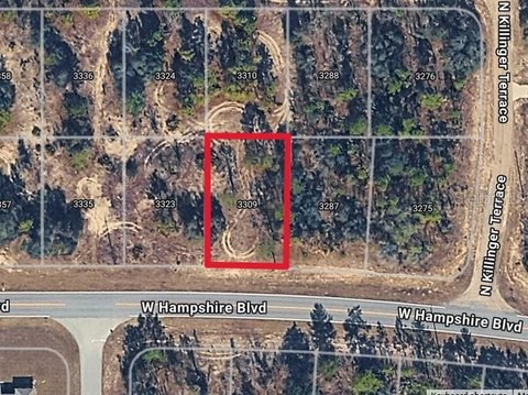 Land, CITRUS SPRINGS, FL