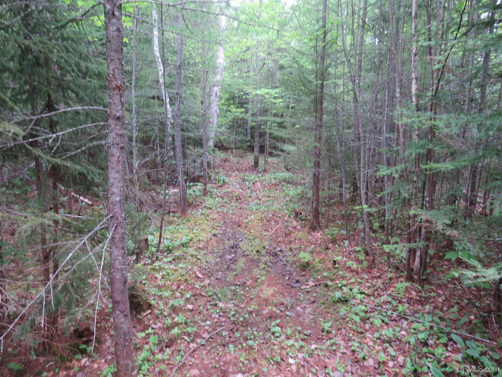 Picture 21