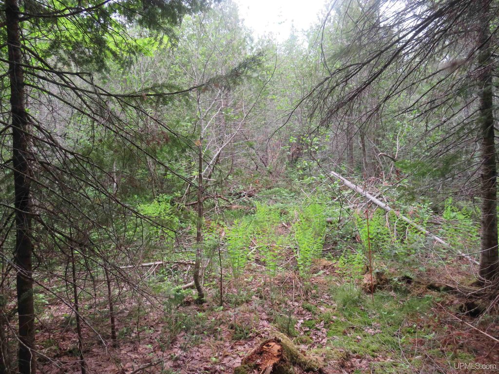 Picture 26
