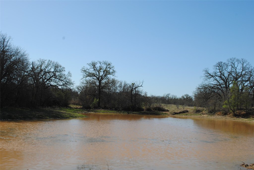 Picture 16