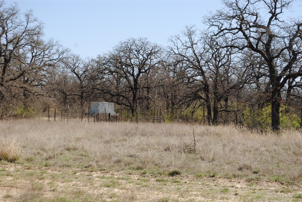 Picture 25