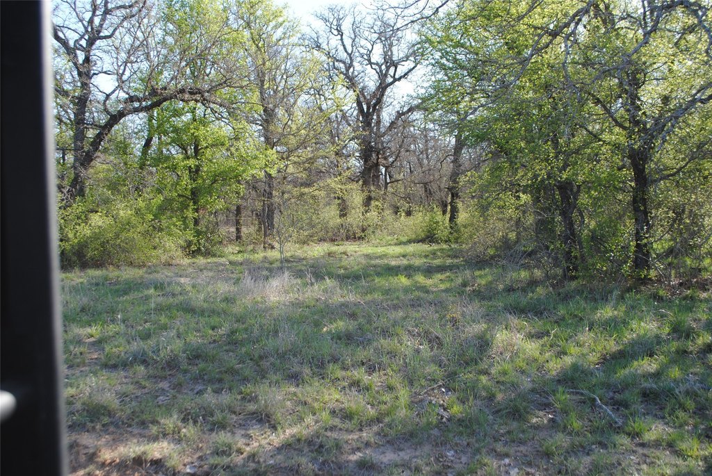 Picture 3