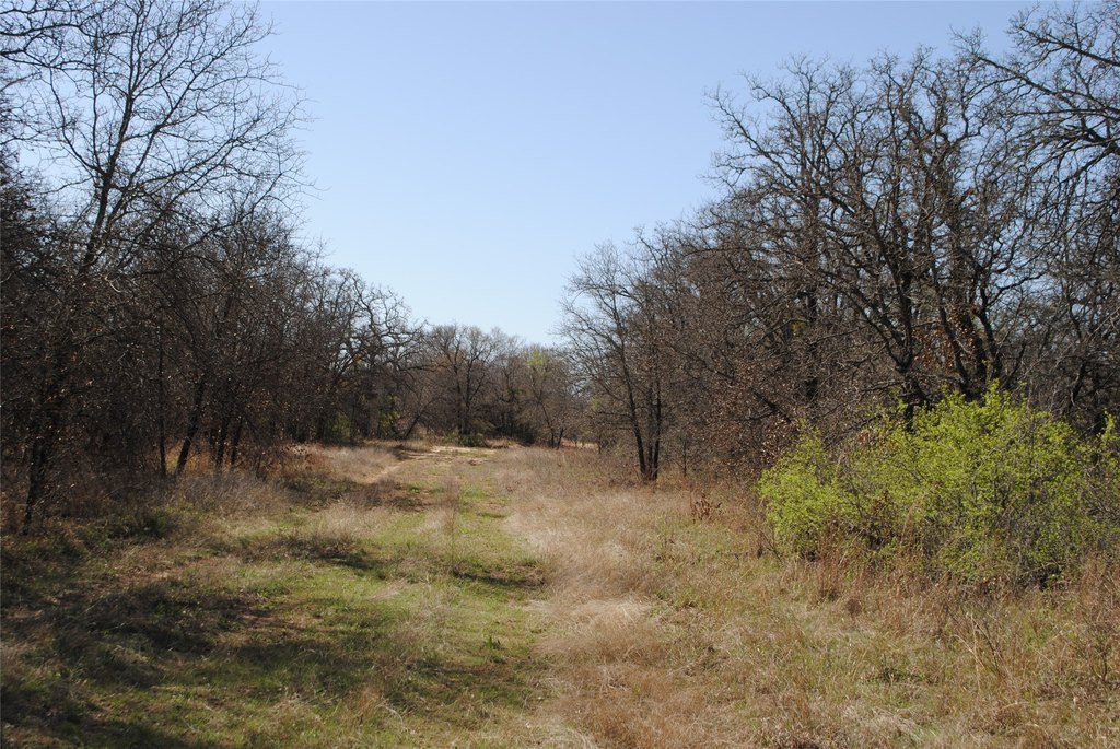 Picture 11
