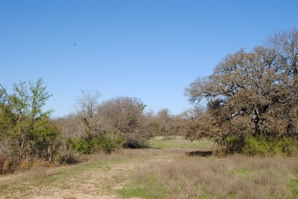 Picture 8