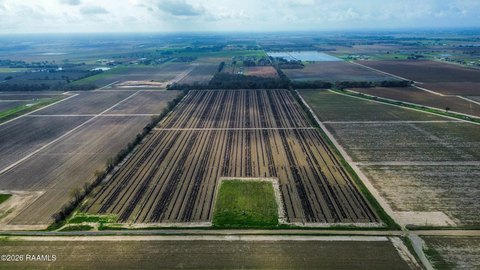 Land, Maurice, LA