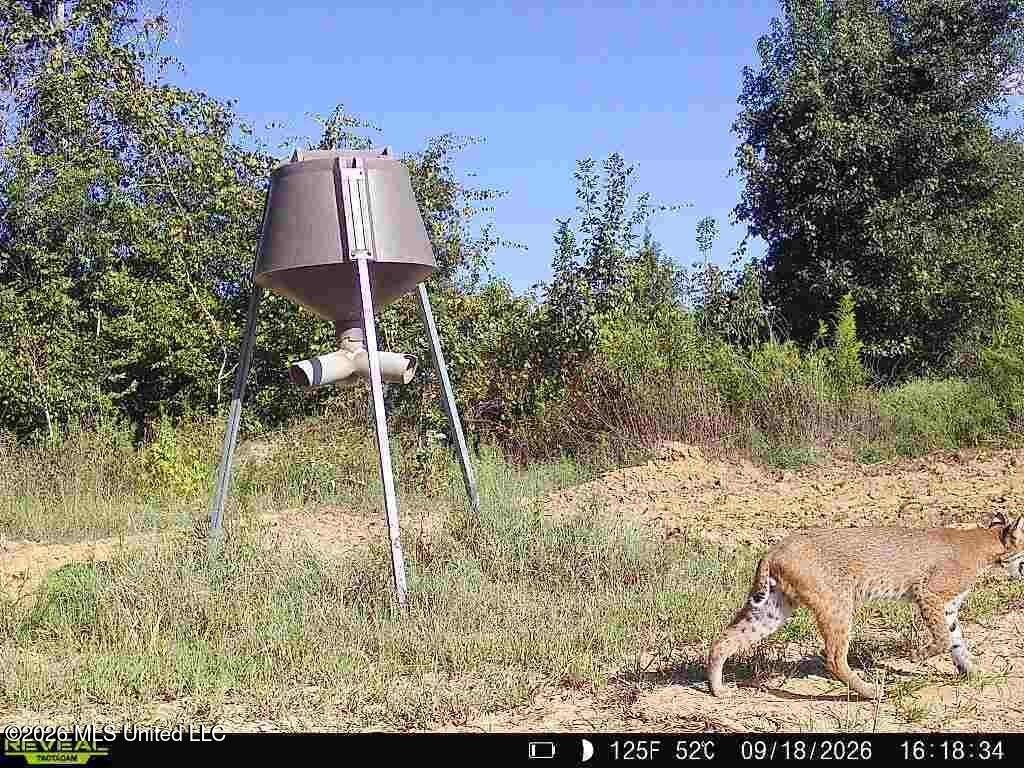 Picture 36
