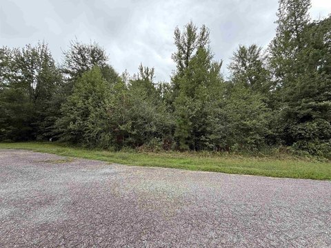 Residential Land in Nashville, AR