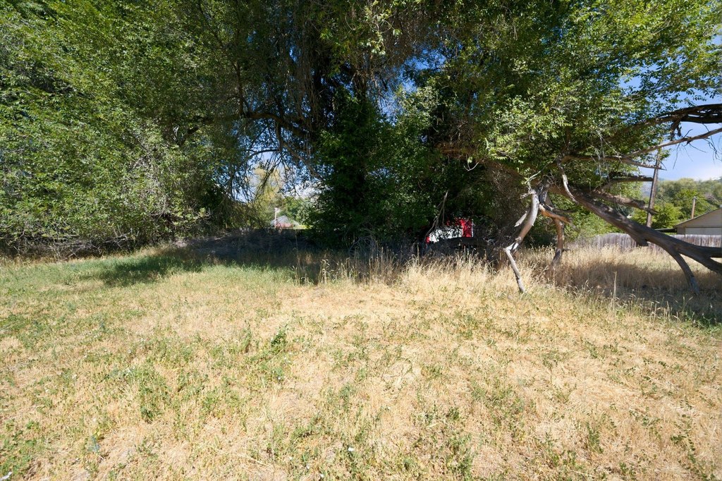 Picture 14