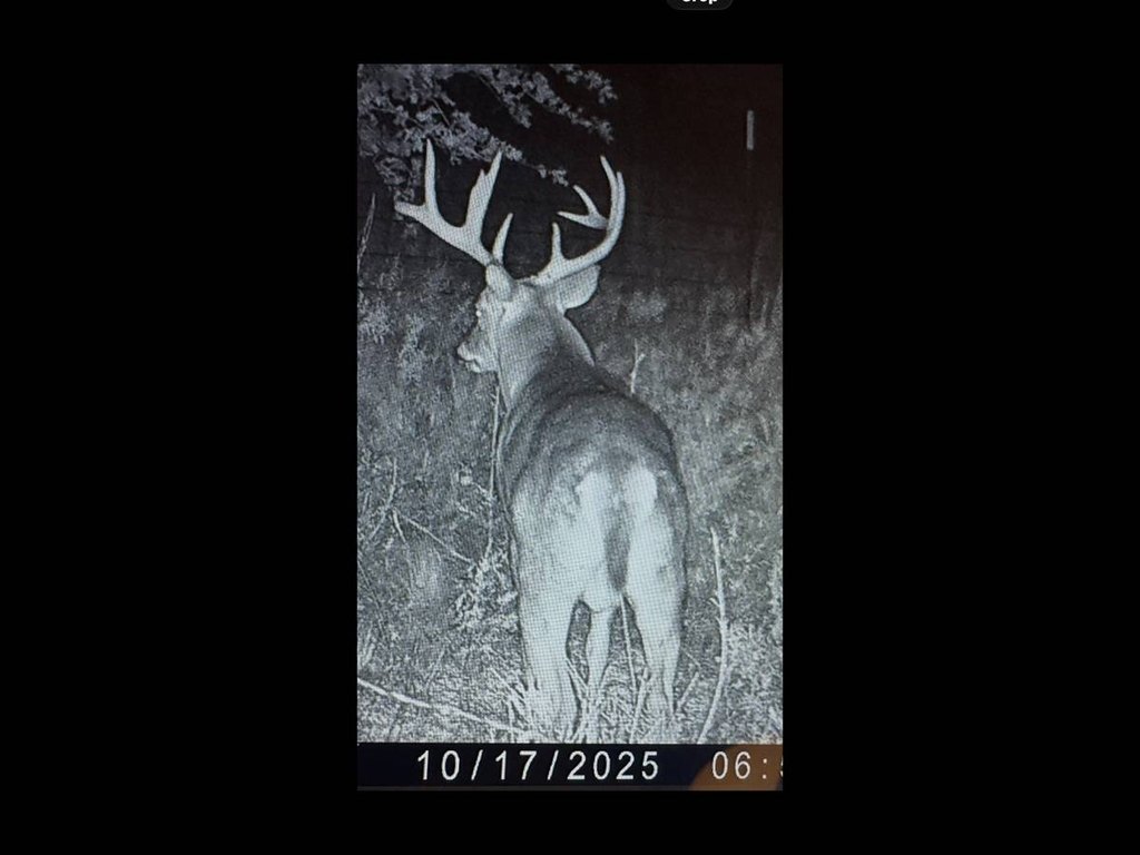 Picture 10