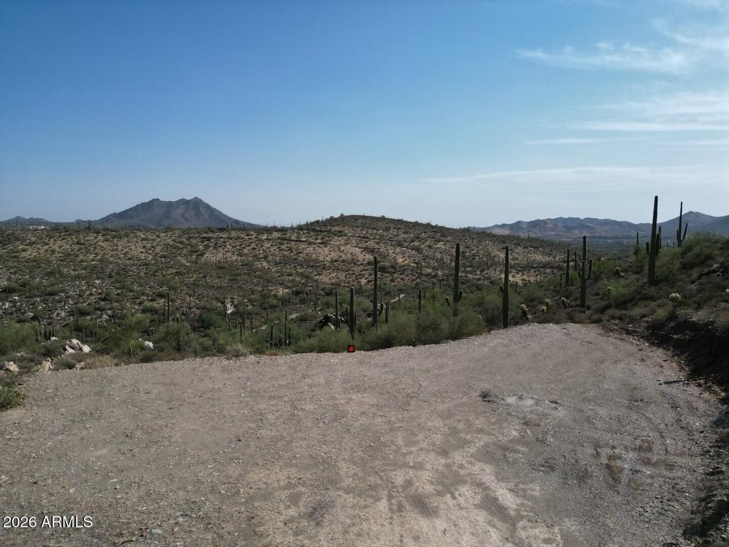 Picture 9