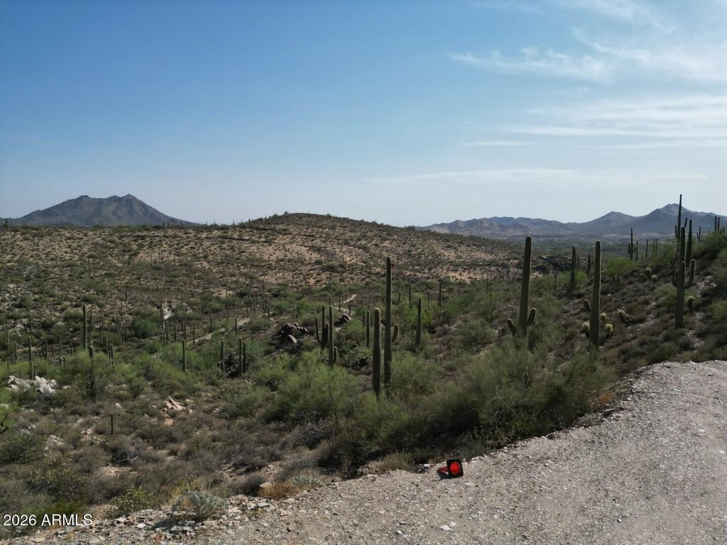 Picture 11
